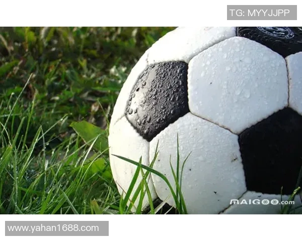 全球足球明星盘点及其代表球队与成就分析