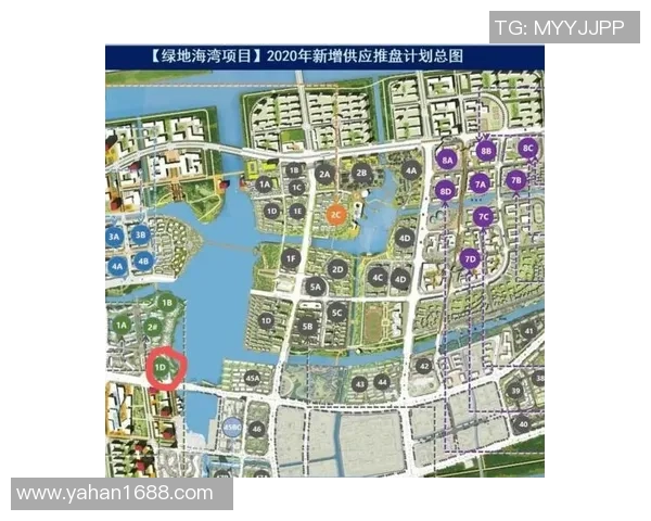 杭州网球队的控制策略与发展现状深度解析 杭州网球队的控制策略与发展现状深度解析